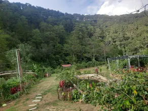 Nhà nguyên căn 3PN cách phố Đà Lạt 16km - Image 5