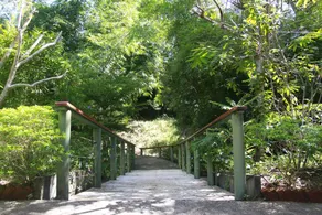 Baan Rai Me Rak Organic Farmstay - Image 3