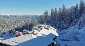 The Golden Nest - 3 Bedroom Family Mountain Apartment - Image 5