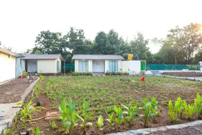 YOGI'S RESORT-Alibag - Image 4