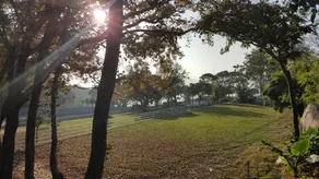 Saiyuen - Image 5