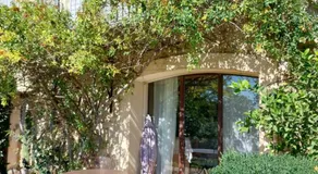 Le Petit Fabre - Image 2