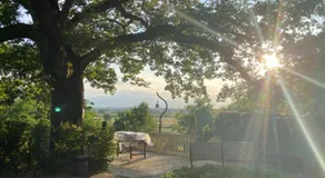 Villa La Quercia Country House - Image 2