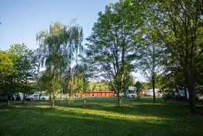 Prague Camping Dzban - Image 5