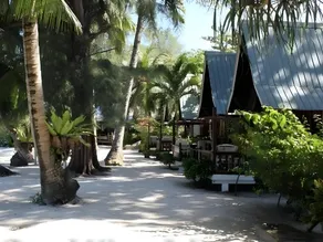 Coral View Island Resort - Image 5