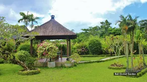 Anish Homestay Jatiluwih Tabanan - Image 2
