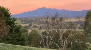 Milpara Farm - Image 5