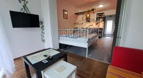 Apartma Čebelica - Image 2