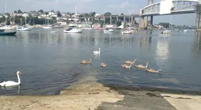 The Ferry House Inn - Image 3