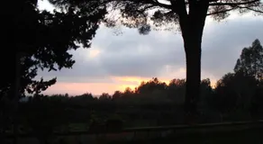 Ai Cipressi - Image 4