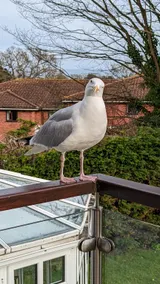 Summerfields House - Image 4