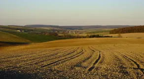 14-18 Meuse-Argonne - Image 5
