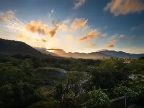 NIRVANA HOLISTIC LIVING - Image 4