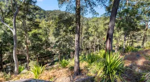 Pure Valley Estate - Image 5
