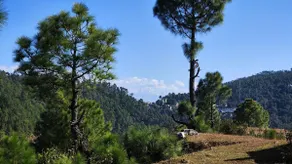 All-Inclusive Stay | All Meals, Bonfire, Treks - Image 5