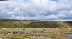 Cottage in the middle of nowhere - Image 4