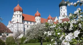 Parkhotel Remisenhof - Wettenhausen - Image 4
