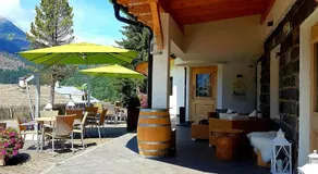 Ciasa Alpina Relax Hotel - Image 5