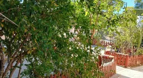 Marry's Guesthouse - Image 5