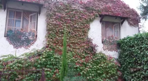 Maison Lavande - Image 3