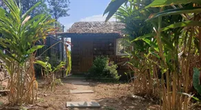 Vaga cardamom couple stay vagamon - Image 4