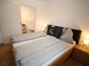 Boutique Apartment in Pfarrwerfen with Terrace - Image 3