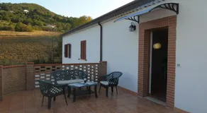 il pettirosso - Image 2