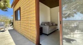 Lemon - Image 5