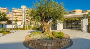 Arenales - Image 5