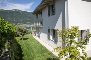 Verdolivo - Image 5