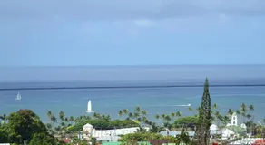 GUEST HOUSE IN HILO - Image 4