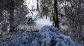 Urselhof - Image 4