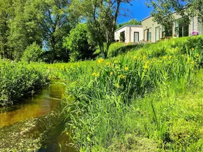 Lugn reträtt vid floden - Image 1