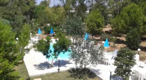 Verdeblu - Image 3