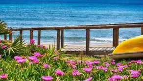 B&B Cristina - Image 4