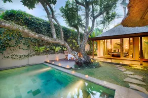 Temuku Ubud Villas - Image 3