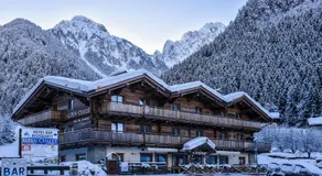 Alpen Chalet - Charme Mountain Hotel - - Image 3