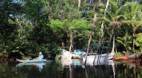 Isla Violin Eco-Lodge - Image 3