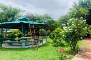 Mistywood Resort and Restaurant - Image 3