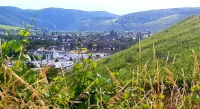 Ahrweiler Seelchen - Image 5