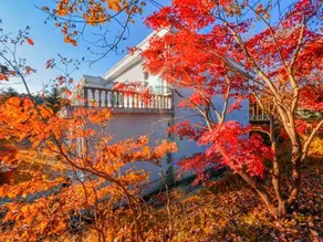 Siming Village Woodland Resort - Image 5