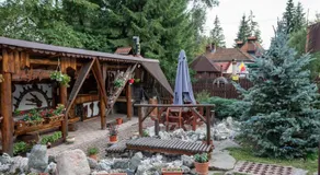 Pensiunea Dapa Ciubar & Sauna - Image 4