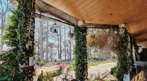 Deodar Homestay - Image 3