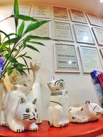 Chiang Rai Hotel - Image 5