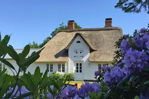 reetgedecktes Ferienhaus in Humptrup - Image 1