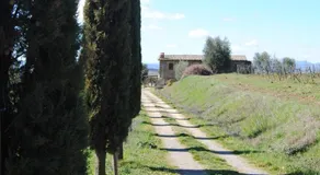 Villetta Caprili - Image 4