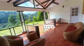 Jungle view - Image 2