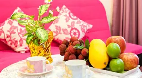 Free World B&B - Image 3