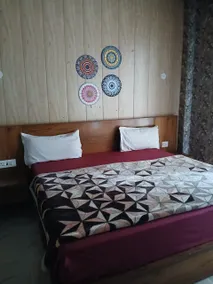 Peacock Feather Home Stay - Image 3
