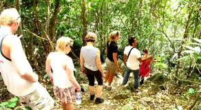Whisper Nature Bungalow & Resort - Image 5